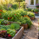kitchen garden of fresh vegetables